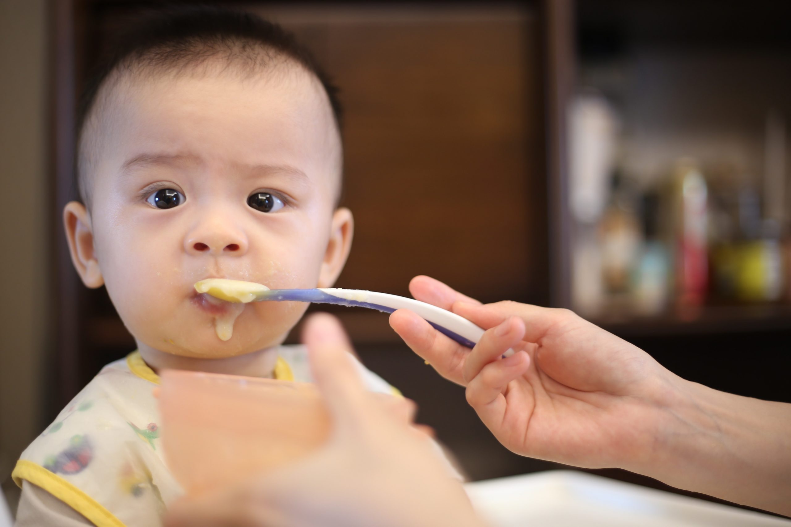 Opal Apple, Ready to Feed Your Baby Solids? These 17 Foods are the Perfect  Place to Start