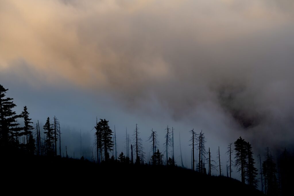 wildfire smoke children